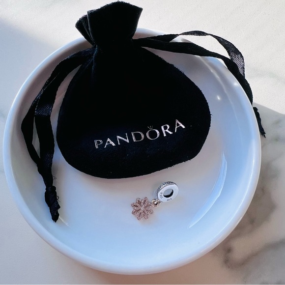 Exquisite Pandora 14K Gold & Sterling 2-Tone Lace Botanique Dangle Charm RARE - Picture 9 of 9